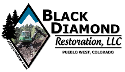 Black Diamond Restoration